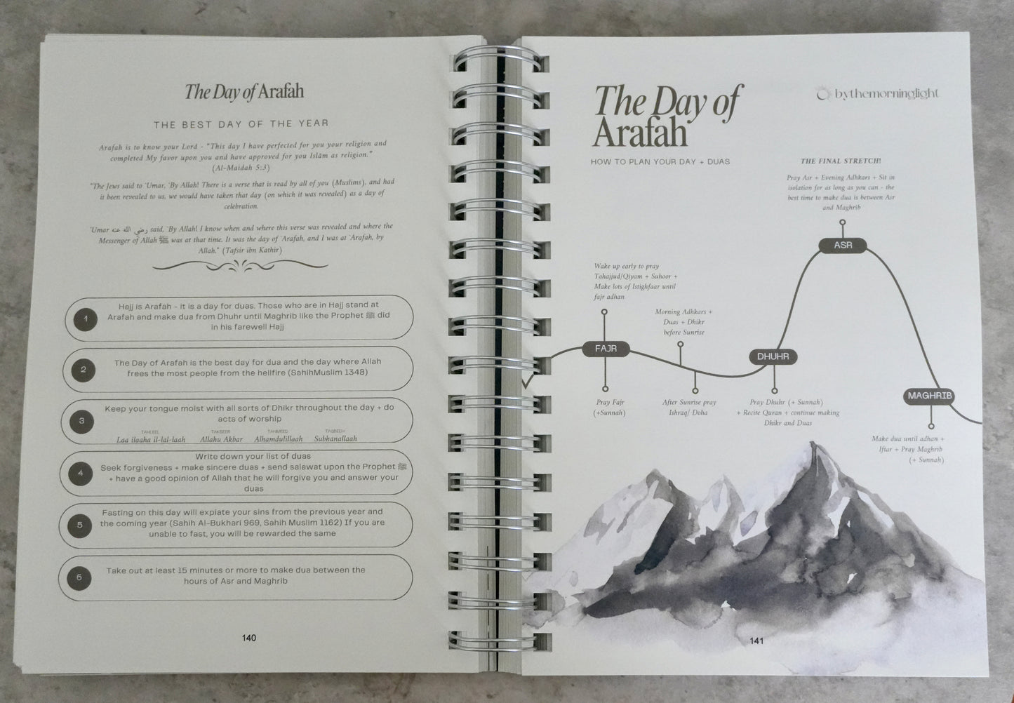 2025 Planner (1446 - 1447) - Blue Birds