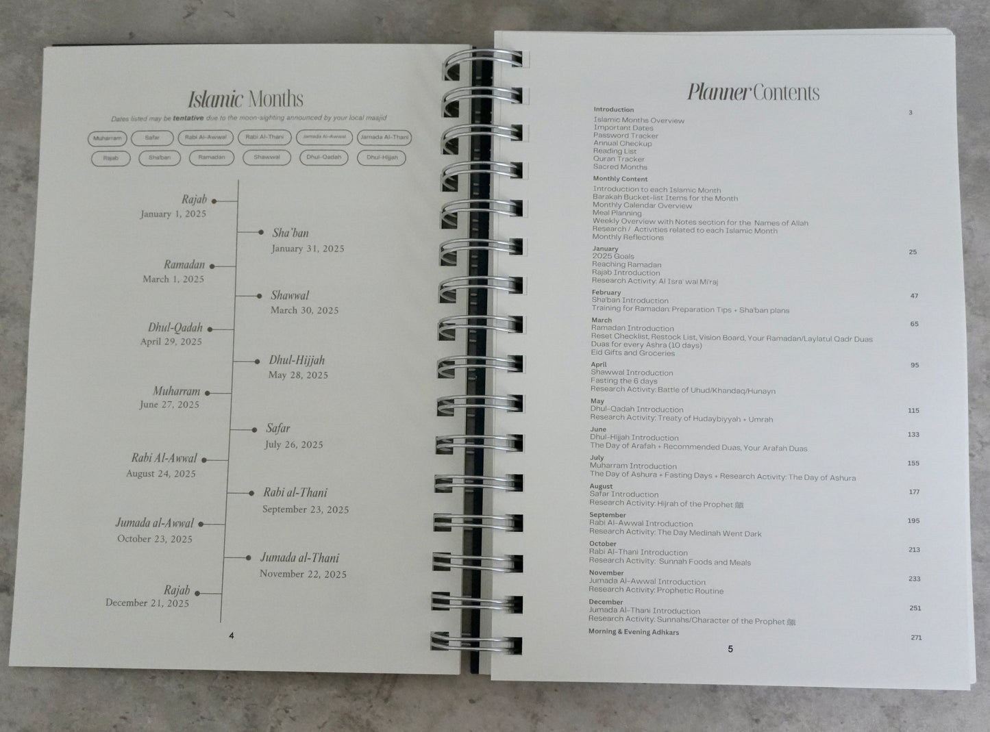 2025 Planner (1446 - 1447) - Pink Bow