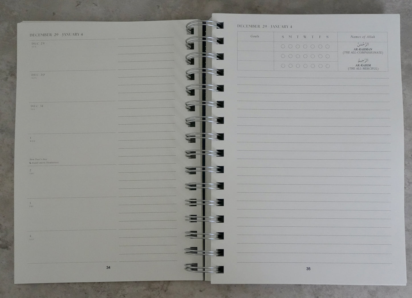 2025 Planner (1446 - 1447) - Pink Bow