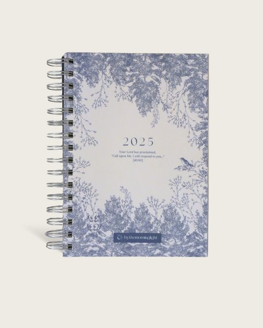 2025 Planner (1446 - 1447) - Blue Birds