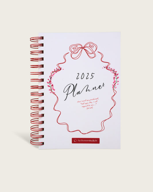 2025 Planner (1446 - 1447) - Pink Bow